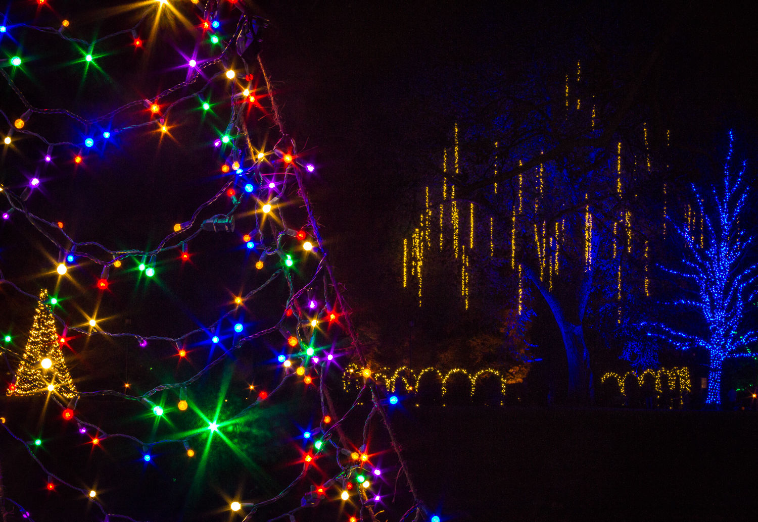 Longwood at night 6